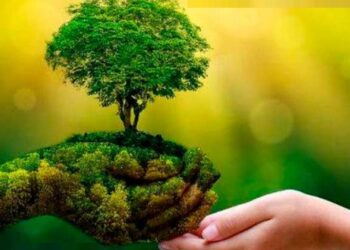 Nace la 1ra. guía para ayudar al sector financiero a que se comprometan con la naturaleza