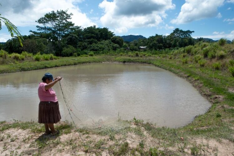 Coca-Cola Latinoamérica continua con sus esfuerzos para lograr la seguridad hídrica para las comunidades en la región para el 2030