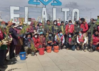 Alcaldía de El Alto lanzó el Plan Municipal de Forestación