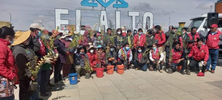 Alcaldía de El Alto lanzó el Plan Municipal de Forestación
