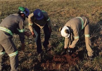 Itacamba: Participación activa del personal en la semana del medio ambiente