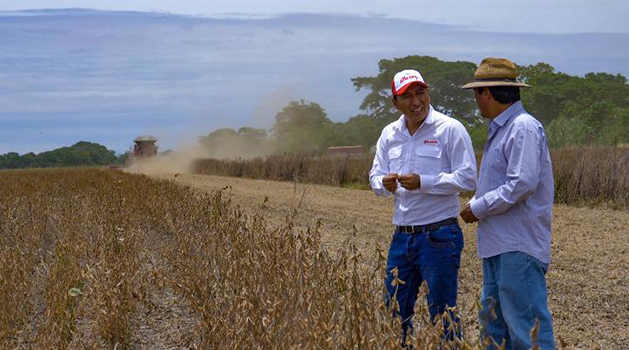 Un chatbot que potencia al agro lleva el ADN innovador de Alicorp a un nuevo nivel 