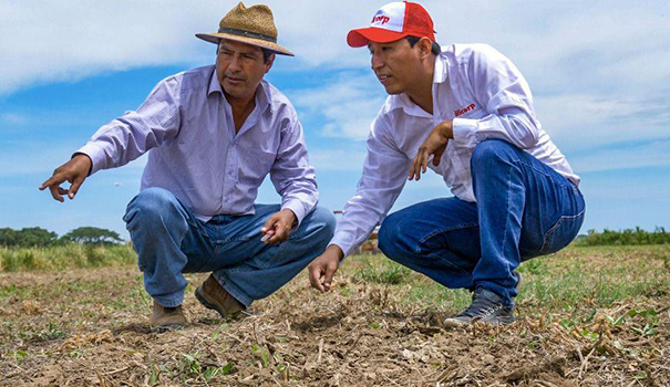 Un chatbot que potencia al agro lleva el ADN innovador de Alicorp a un nuevo nivel 