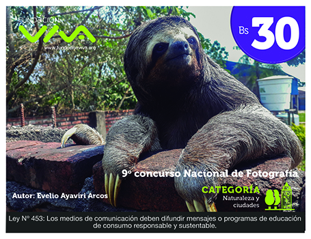 VIVA pone foco en medioambiente, seguridad ciudadana y lucha contra la violencia