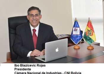 Cámara Nacional de Industrias