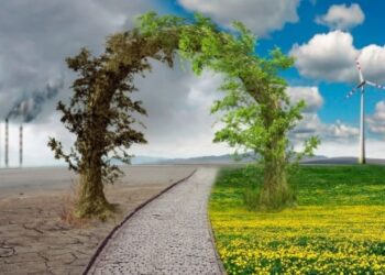 Más de 1.000 empresas de todo el mundo ya se comprometieron a reducir sus emisiones