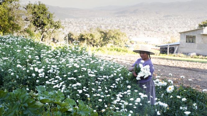 Día Mundial del Agua: CBN es una empresa que optimiza el uso de los recursos hídricos