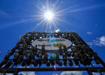 El BISA le da un respiro a La Paz con 6.361 árboles en siete áreas estratégicas