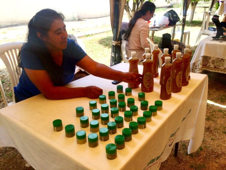 ASOBAN resalta el rol protagónico de la mujer en la Banca boliviana