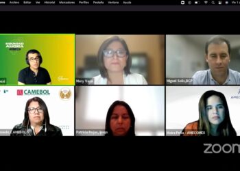 Las brechas de género, luces y sombras en la inclusión financiera