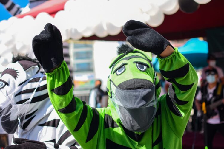 Nacen Las Cebras Verdes para educar desde reciclaje hasta el cuidado de áreas verdes