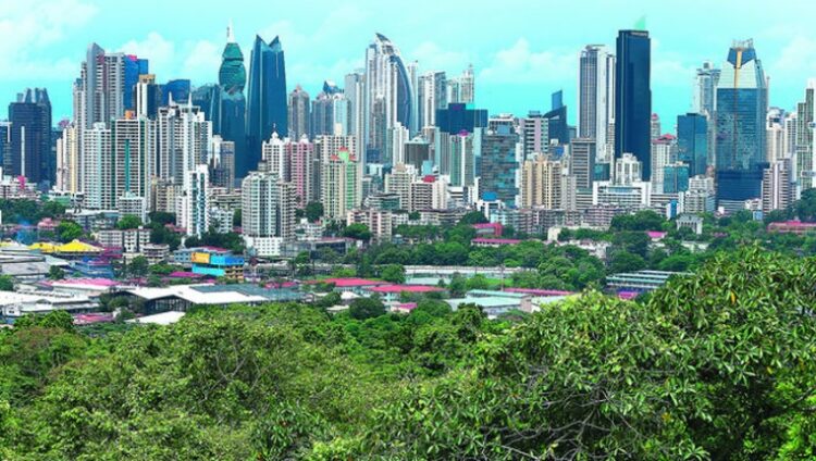 Resiliencia y cero emisiones, el futuro de las ciudades