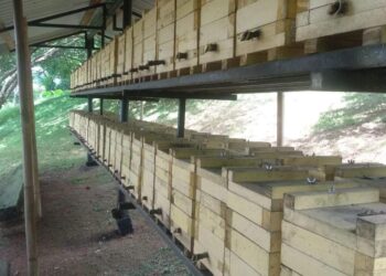 Primera graduación 2022 del Programa “Universidad & Empresa: Innovando para el Futuro”