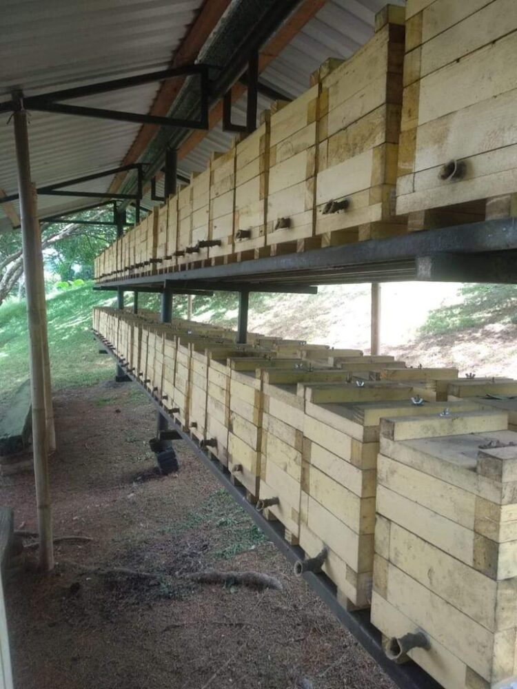 Primera graduación 2022 del Programa “Universidad & Empresa: Innovando para el Futuro”