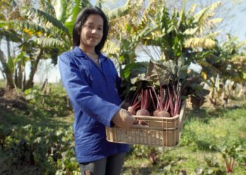 En 15 días cierra el plazo para presentar proyectos sustentables en salud y alimentación del programa “Legado by Bayer”