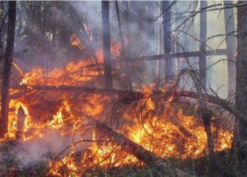 O se toman medidas más ambiciosas, o las consecuencias del cambio climático “serán devastadoras”