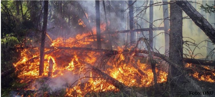 O se toman medidas más ambiciosas, o las consecuencias del cambio climático “serán devastadoras”