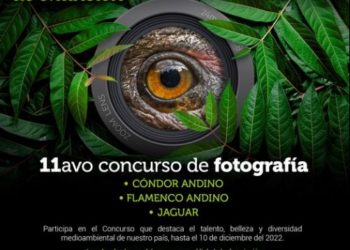 Fundación VIVA convoca a concurso nacional de fotografía sobre cuidado de especies en extinción