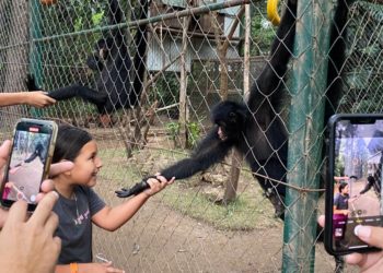 Nacional Seguros invita al Green WorkShop que se realizará en el Parque Yvaga Guazú