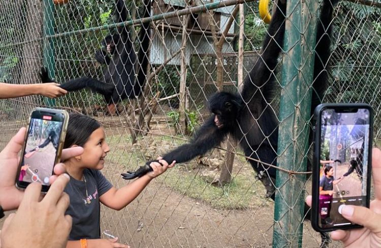 Nacional Seguros invita al Green WorkShop que se realizará en el Parque Yvaga Guazú