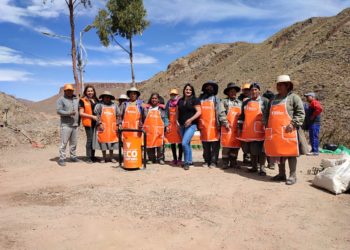 Ecofuturo revitaliza la avenida panamericana de Potosí