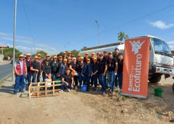 La Avenida Jaime Paz de Tarija tiene un aspecto renovado luego de la campaña de forestación