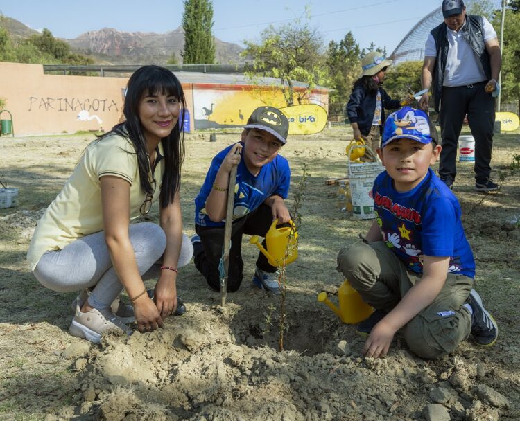 Banco BISA ya implementó siete “Pulmones BISA”.