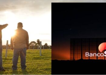 BancoSol mide huella de carbono de su cartera para minimizar el impacto de sus emisiones financiadas