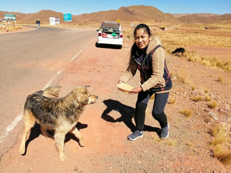 Banco BISA concientizó sobre la importancia de los derechos de los animales 