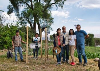 CBN recibe propuestas para apoyar iniciativas sostenibles con el proyecto Aceleradora 100+