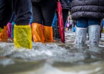 OPINIÓN: ¿Cisne negro o Rinoceronte gris?….y la autopista al infierno