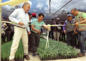 Nace el vivero forestal “Bosque Encantado” ubicado en Arbieto, Cochabamba