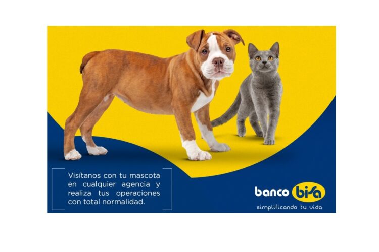 Las mascotas son bienvenidas en todas las agencias de Banco BISA