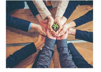 Pasos básicos para impulsar una empresa sostenible