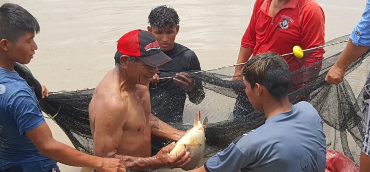 Ecofuturo contribuye a completar la cadena de producción en la cría de Alevines de Pácú y Sábalo
