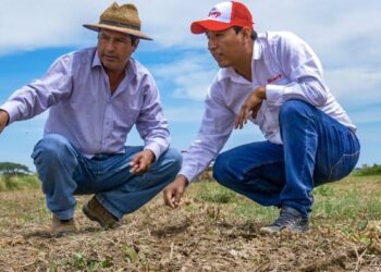 Sostenibilidad: Alicorp genera valor a la cadena productiva y las comunidades donde opera