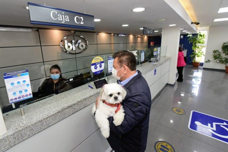 Una iniciativa inclusiva: Mascotas bienvenidas en las agencias de Banco Bisa