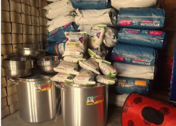 Banco BISA realiza colectas entre sus trabajadores “Por los peluditos de la calle”