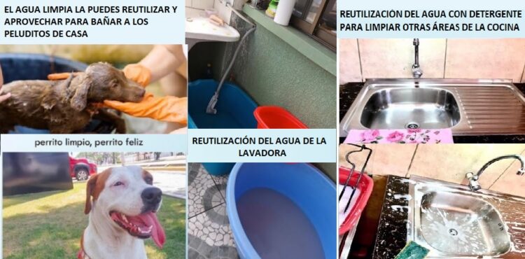 Banco Bisa promueve entre sus colaboradores buenas prácticas de reutilización de agua, “porque cada gota cuenta”