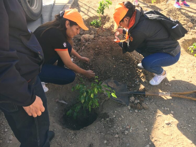 EcoFuturo impulsa campaña de forestación  en el dia mundial de la madre tierra