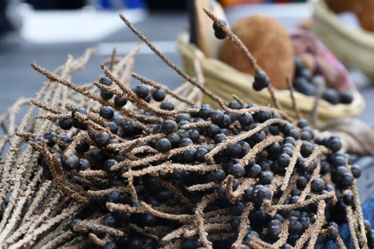 La promoción y Asistencia Técnica del BDP impactan en productores de la Amazonía boliviana