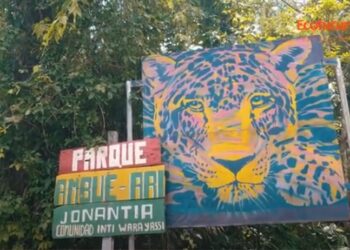 Alianza Ecofuturo y CIWY Comunidad Inti Wara Yassi invitan a conocer algunas imágenes del Santuario Ambue Ari-Santa Cruz