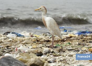 París: 1ra. versión de tratado contra la contaminación plástica quedaría listo a finales de 2023