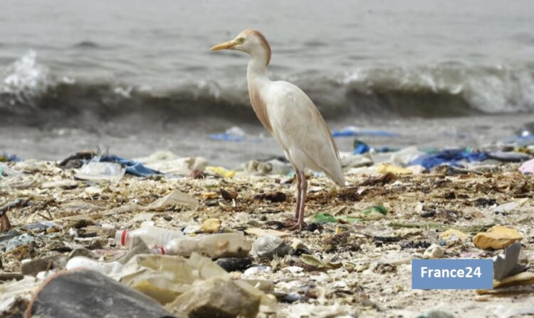 París: 1ra. versión de tratado contra la contaminación plástica quedaría listo a finales de 2023
