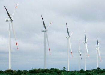 El BDP prevé reducir 685 toneladas de C02 y ahorrar 3.098 Mwh de energía al año, con Ecoeficiencia