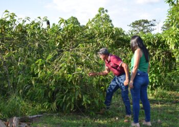 El BDP mostró su enfoque de finanzas sostenibles en Honduras