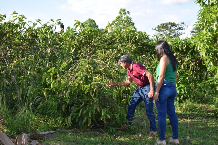 El BDP mostró su enfoque de finanzas sostenibles en Honduras