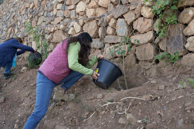 CBN vuelve a movilizar a la población de Cochabamba para dar continuidad a la campaña “Sembrando Vida”