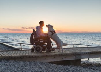 ¡Innovación con propósito! Bayer lanza Legado 2023 para proyectos de alto impacto social en salud, alimentación y agricultura