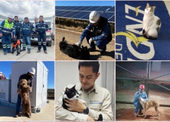 Más de 30 mascotas forman parte de los equipos de trabajo de ENDE